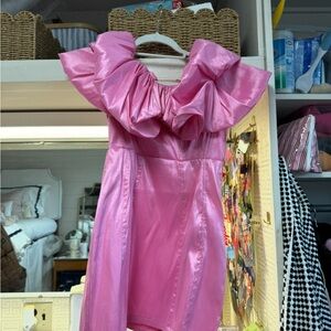 Show Me Your MuMu Pink Mini Dress